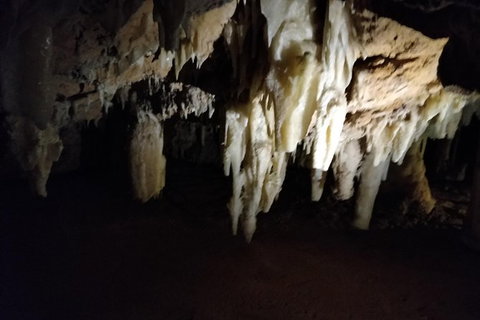 The Pinnacle Adventure Tour - Tourism Caloundra 1