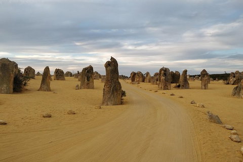 The Pinnacle Adventure Tour - Tourism Caloundra 8