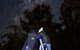 Dusk To Dawn Astronomy Margaret River - thumb 1