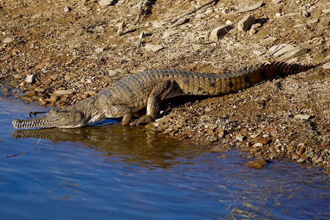 Lake Argyle Morning Cruise - Tourism Caloundra 7