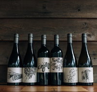Private Tastings / Wine  Cheese Pairing - Tourism Caloundra