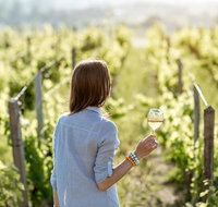 5 Hours Wineries Coffee Tasting Forest  Lunch at the Berry Farm - Tourism Caloundra