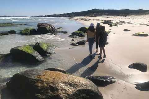 Tastes Of Margaret River Variety Tour - Tourism Caloundra 5