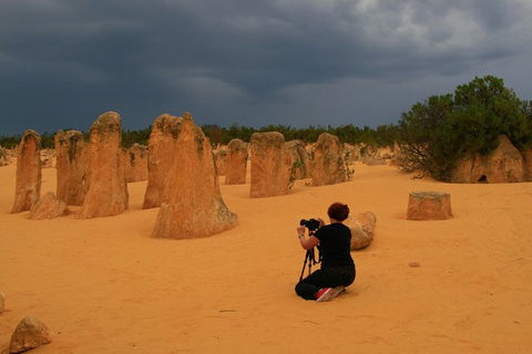 The Pinnacles, Sea And Dunescapes, Bush Reserve And Sunset Day Tour - Tourism Caloundra 1