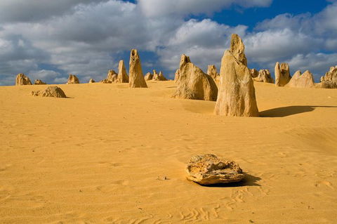 The Pinnacles, Sea And Dunescapes, Bush Reserve And Sunset Day Tour - Tourism Caloundra 2