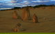 The Pinnacles, Sea And Dunescapes, Bush Reserve And Sunset Day Tour - thumb 7
