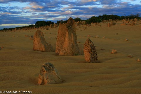 The Pinnacles, Sea And Dunescapes, Bush Reserve And Sunset Day Tour - Tourism Caloundra 7