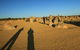 The Pinnacles, Sea And Dunescapes, Bush Reserve And Sunset Day Tour - thumb 4