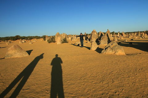 The Pinnacles, Sea And Dunescapes, Bush Reserve And Sunset Day Tour - Tourism Caloundra 4