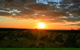 The Pinnacles, Sea And Dunescapes, Bush Reserve And Sunset Day Tour - thumb 6
