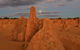 The Pinnacles, Sea And Dunescapes, Bush Reserve And Sunset Day Tour - thumb 3