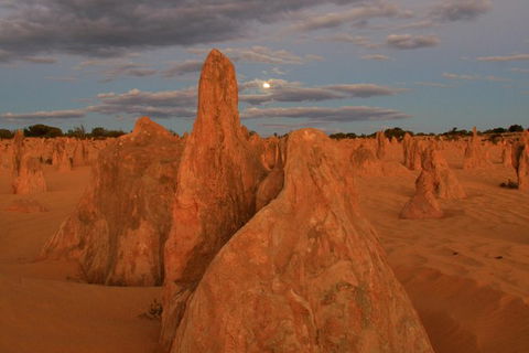 The Pinnacles, Sea And Dunescapes, Bush Reserve And Sunset Day Tour - Tourism Caloundra 3