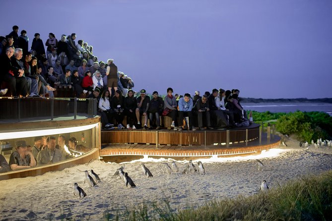Phillip Island VIC Tourism Caloundra