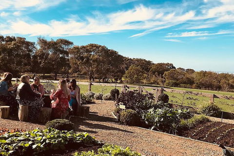 Bellarine Taster: Gin, Cider, Wine And Lunch Tour - Tourism Caloundra 8