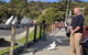 Private Full-Day Great Ocean Road Tour With Helicopter Ride - thumb 1