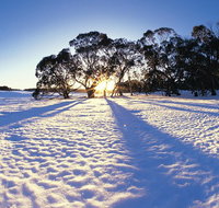 Private Lake Mountain Snow Tour from Melbourne