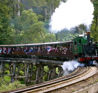 Private Dandenong Ranges Tour including Puffing Billy