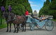 Melbourne Horse Drawn Carriage Extended Garden Tourâ„¢ - thumb 0