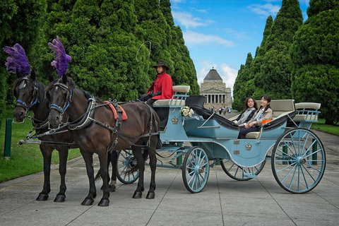 Melbourne Horse Drawn Carriage Extended Garden Tourâ„¢ - Tourism Caloundra 0