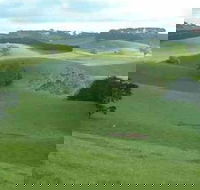 Day Tour of Phillip Island  Surrounding Region - Tourism Caloundra