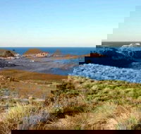 Phillip Island Walking  Bird Watching Tour - Tourism Caloundra