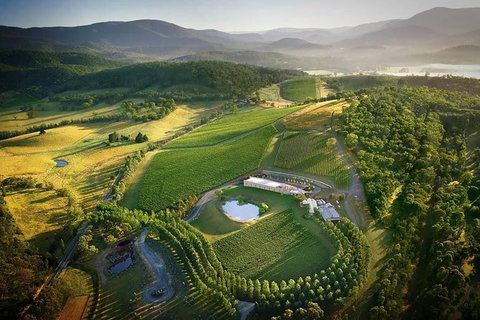 Yarra Valley - Wineries & Gin Distillery Tour - Tourism Caloundra 0