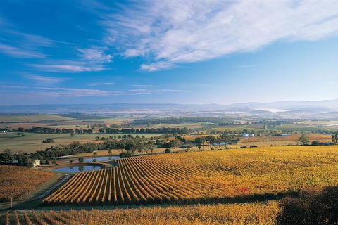 Half Day Yarra Valley Winery Day Trip From Melbourne - Tourism Caloundra 0