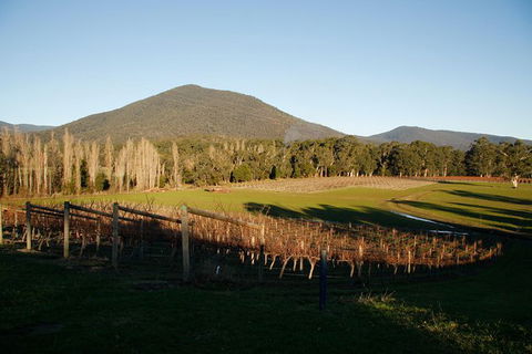 Half Day Yarra Valley Winery Day Trip From Melbourne - Tourism Caloundra 6