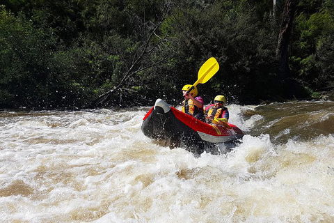 White-Water Kayaking On The Yarra River - Tourism Caloundra 1