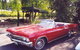 Yarra Valley Wine And Cider Tours By Classic Convertibles From Melbourne - thumb 6