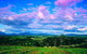 Yarra Valley Wine And Cider Tours By Classic Convertibles From Melbourne - thumb 11