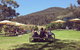 Yarra Valley Wine And Cider Tours By Classic Convertibles From Melbourne - thumb 15