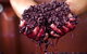 Yarra Valley Wine And Cider Tours By Classic Convertibles From Melbourne - thumb 17