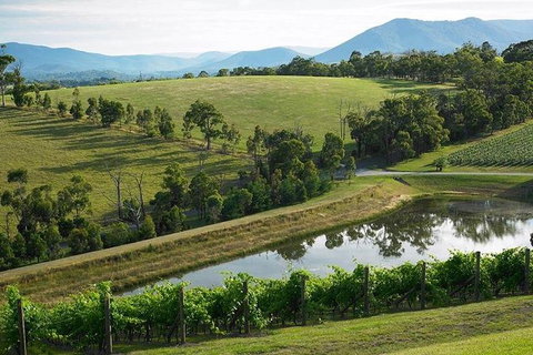 Yarra Valley Wine And Cider Tours By Classic Convertibles From Melbourne - Tourism Caloundra 14