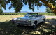 Yarra Valley Wine And Cider Tours By Classic Convertibles From Melbourne - thumb 7