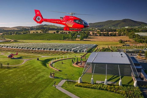 Yarra Valley Wine & Wildlife - Private Regional Tour - Tourism Caloundra 1