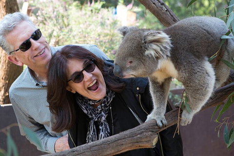 Yarra Valley Wine & Wildlife - Private Regional Tour - Tourism Caloundra 3