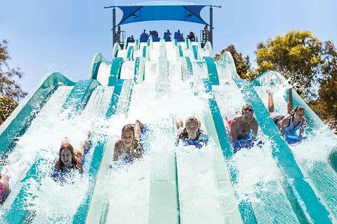 Adventure Park Geelong: General Admission Ticket - Tourism Caloundra 1