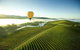 Yarra Valley Wine Tours For 24 Guests - thumb 0