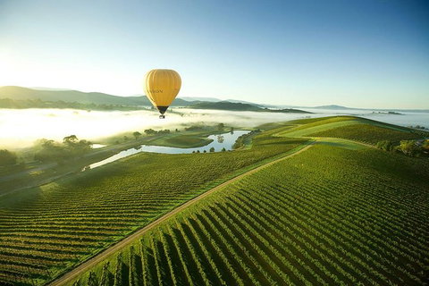 Yarra Valley Wine Tours For 24 Guests - Tourism Caloundra 0