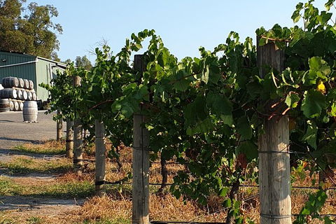 Wine Tasting Tour In The Yarra Valley - Tourism Caloundra 0