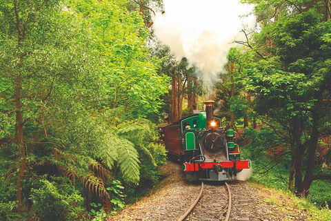 Half Day Puffing Billy Train Journey From Melbourne - Tourism Caloundra 2