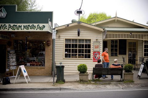 Half Day Puffing Billy Train Journey From Melbourne - Tourism Caloundra 10