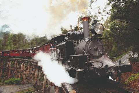 Half Day Puffing Billy Train Journey From Melbourne - Tourism Caloundra 3
