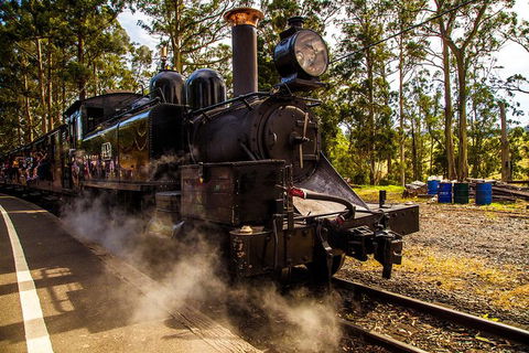 Half Day Puffing Billy Train Journey From Melbourne - Tourism Caloundra 6