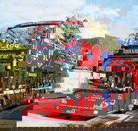 Hobart Hop-on Hop-off Bus Tour - Tourism Caloundra