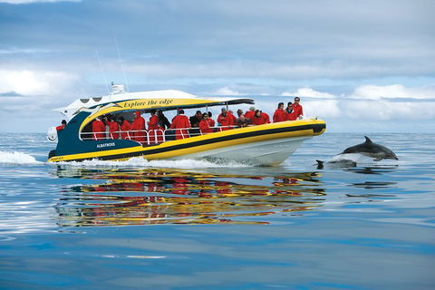 3-Hour Tasman Peninsula Wilderness Cruise From Port Arthur - Tourism Caloundra 5