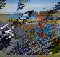 Port Arthur and Lavender Farm Active Day Tour - Tourism Caloundra