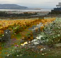 Mona and Wine Experience Tour - Tourism Caloundra