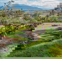 Shore Excursion Hobart's Best In Half A Day - Tourism Caloundra